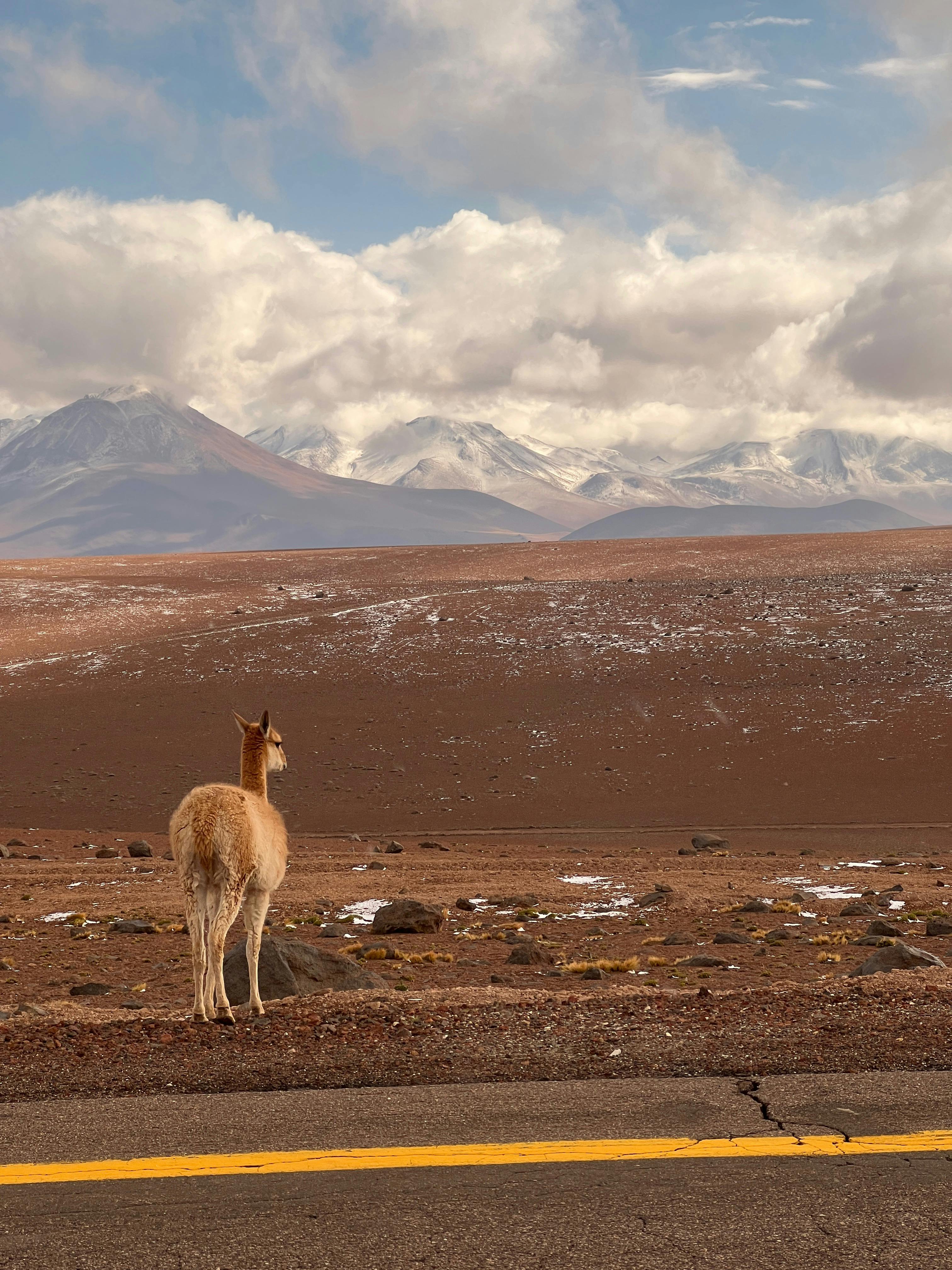 Desierto de Atacama: La Noche y la Insignificancia